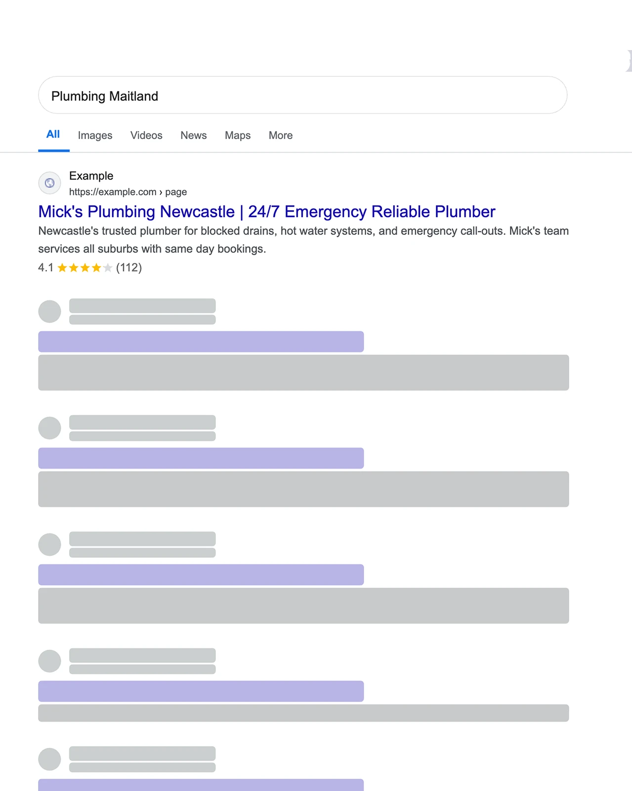 Google organic search results Maitland